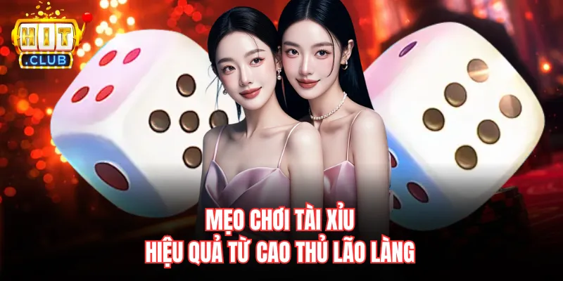 Mẹo chơi tài xỉu hiệu quả từ cao thủ lão làng